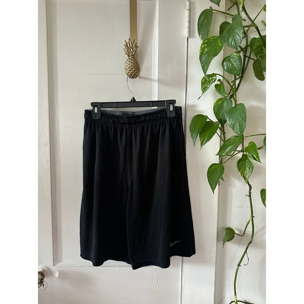 Nike Dri-Fit men’s size large shorts